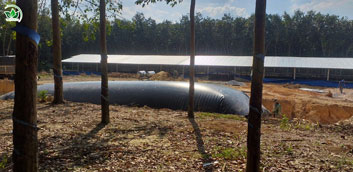 Hầm biogas HDPE và Composite
